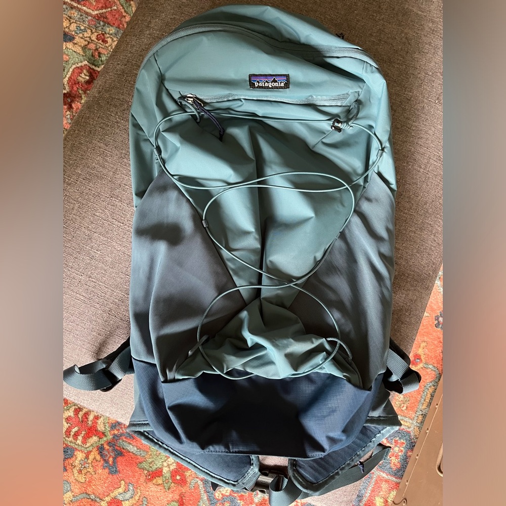 Patagonia Terravia pack
